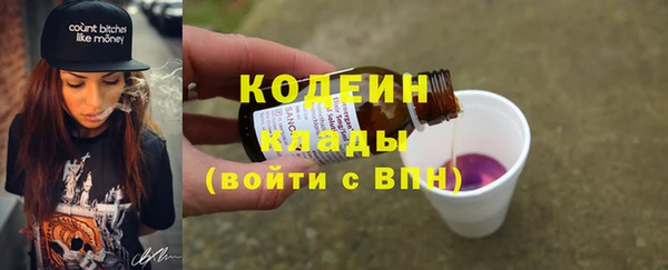 хмурый Алзамай