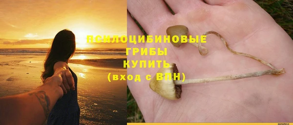 хмурый Алзамай