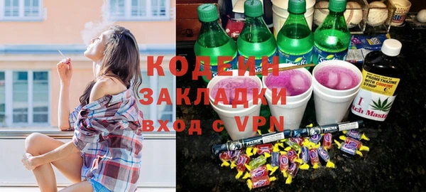 хмурый Алзамай