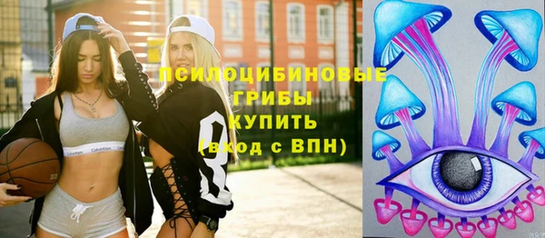 ешки Алексин