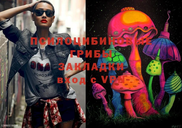 хмурый Алзамай