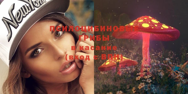 ешки Алексин