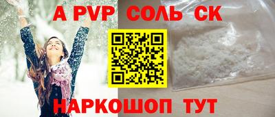 индика Камышлов