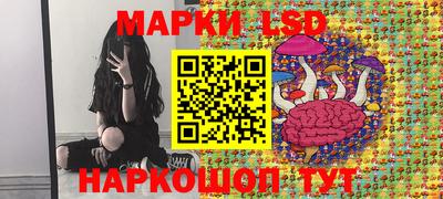 индика Кандалакша