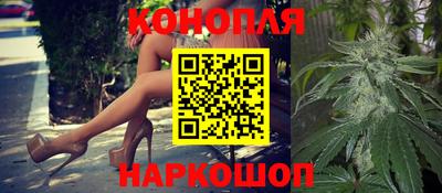 индика Кандалакша