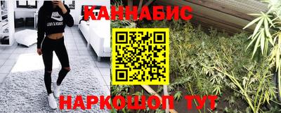 индика Камышлов