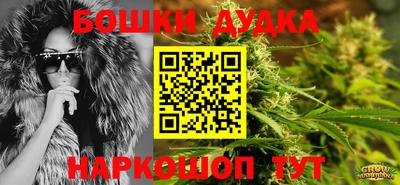 индика Камышлов