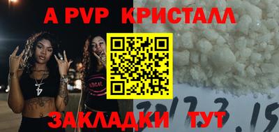 индика Камышлов