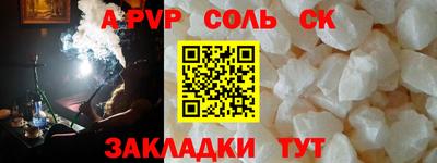 индика Камышлов