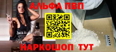 индика Камышлов