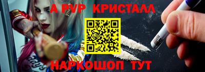 индика Камышлов