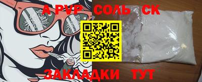 индика Камышлов