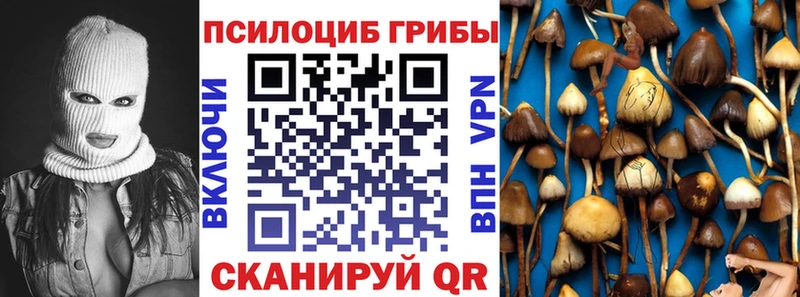 hydra ссылка  где продают наркотики  Лабинск  Псилоцибиновые грибы GOLDEN TEACHER 