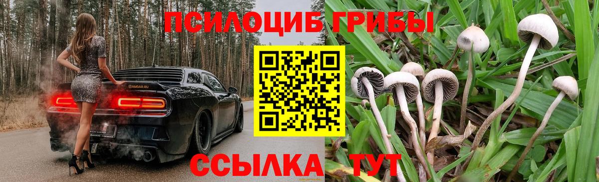 Псилоцибиновые грибы Psilocybine cubensis  как найти   Лабинск  Вход с VPN 
